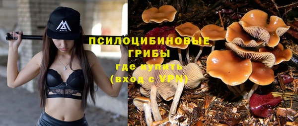 каннабис Арсеньев