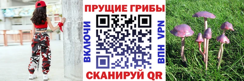 Псилоцибиновые грибы MAGIC MUSHROOMS  Старая Русса 